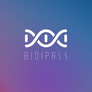 Bidipass ico