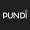 Pundi X NEM icon